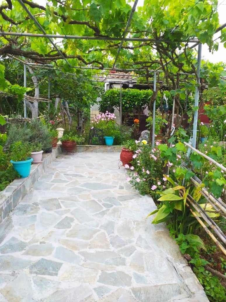 Malotu Resort Sinarádes エクステリア 写真